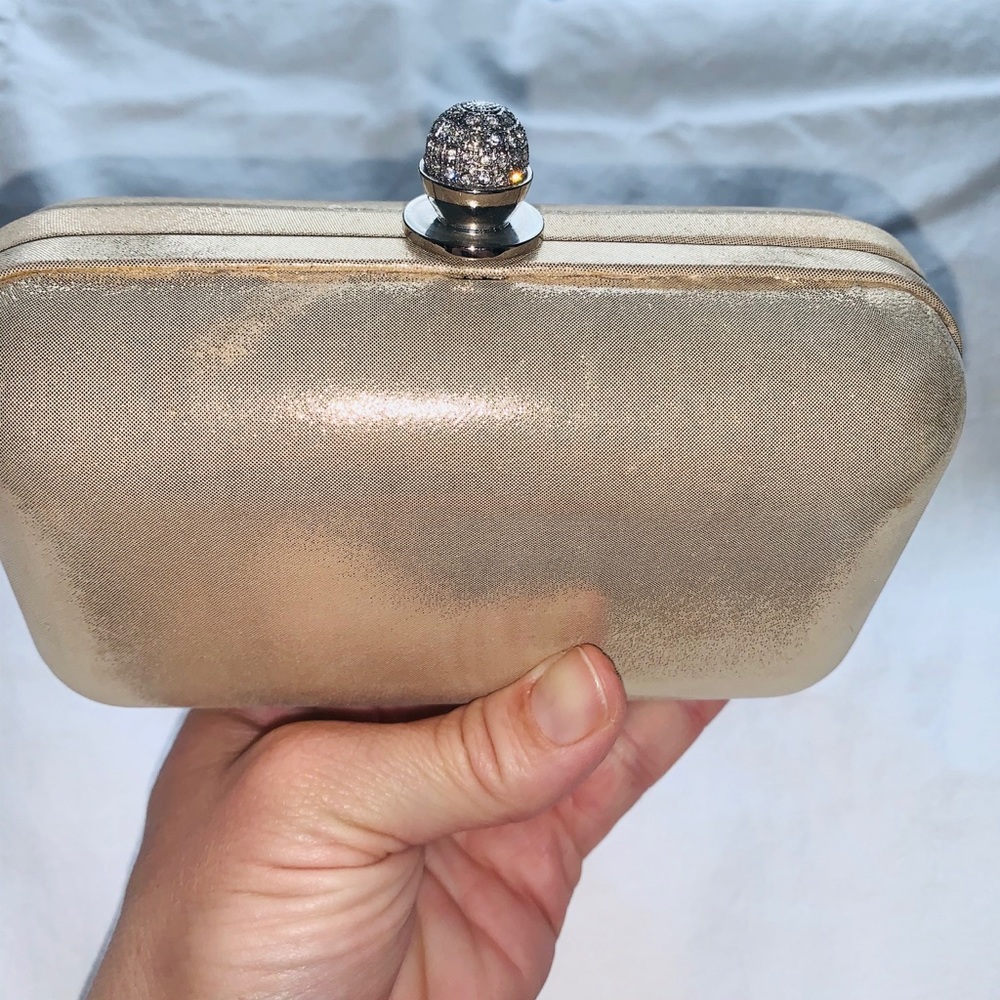 Ann Taylor evening bag